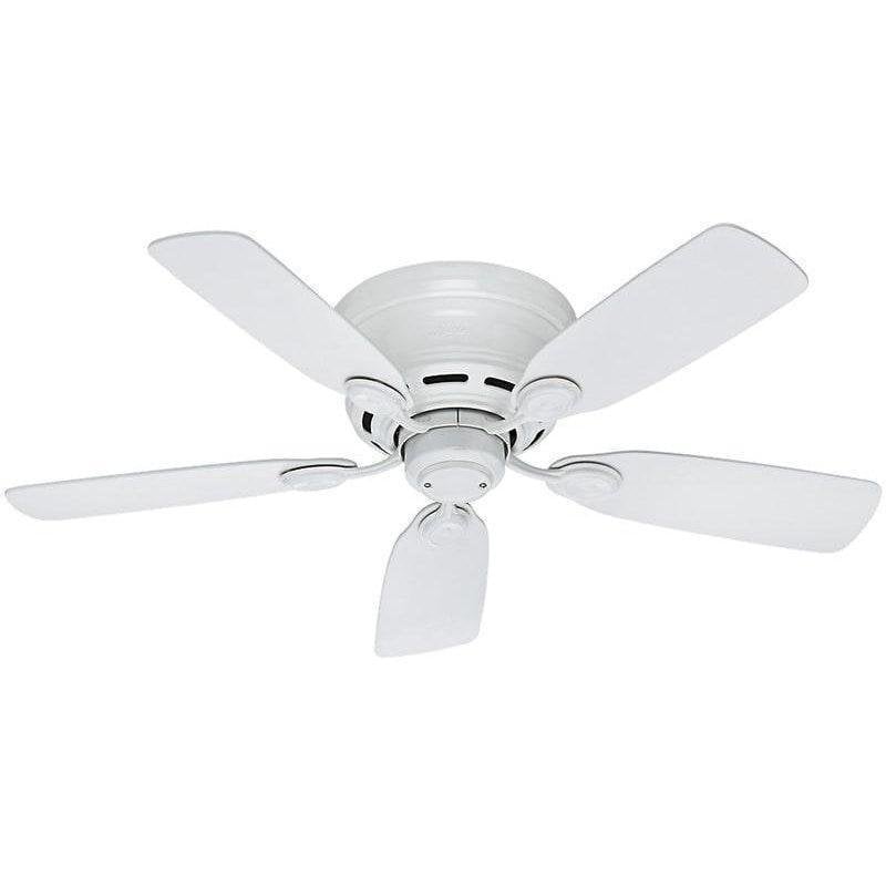 51059_l