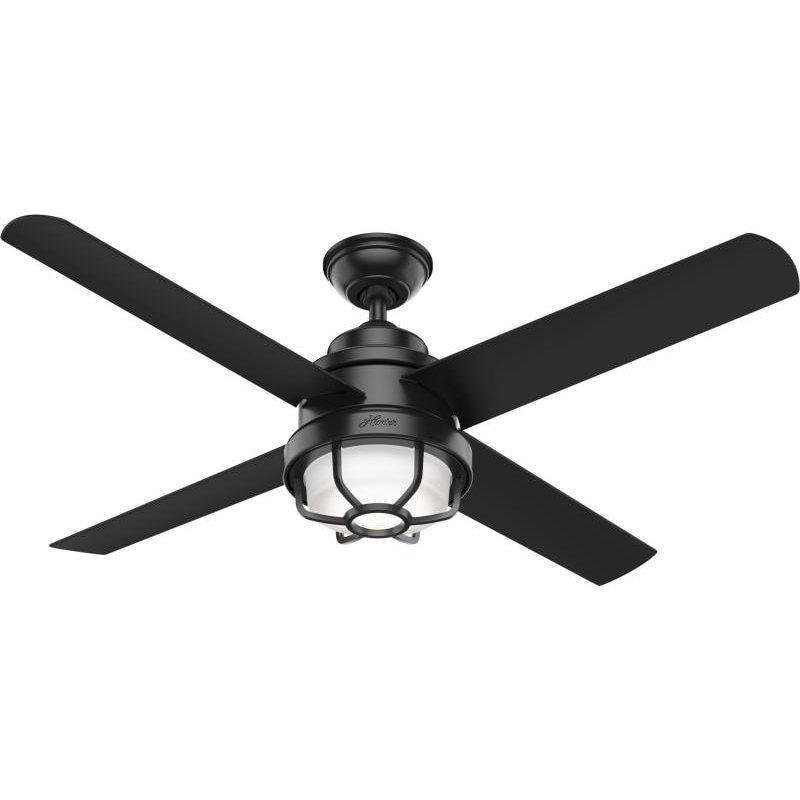 55086_l